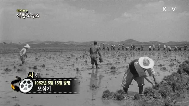 다시보는 대한늬우스 (62.06.15)