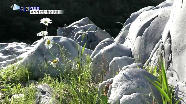 세계지질공원 청송, 관광객 줄이어