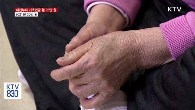 내년부터 기초연금 월 25만 원…21년부터 30만 원