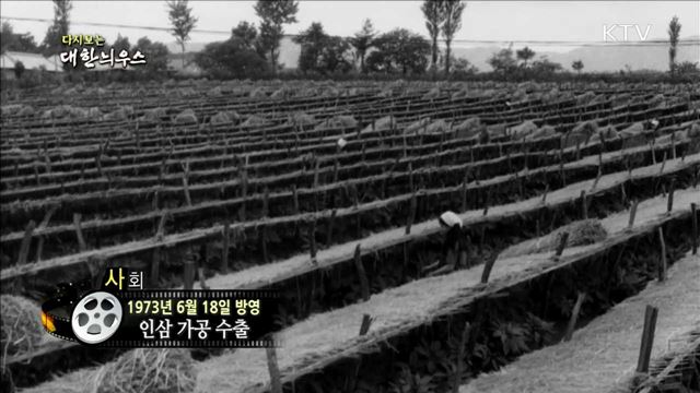 다시보는 대한늬우스 (73.06.18)