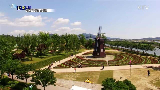 천상의 정원 순천만 [한국의 美]