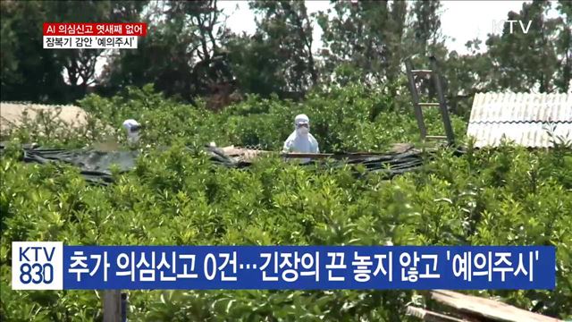 AI 의심신고 없어…잠복기 감안 '예의주시'