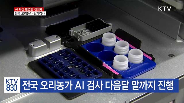 AI 진정세…전국 오리농가 일제 검사