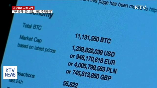 가상화폐 과열…"가치급락·유사코인·해킹 주의해야"