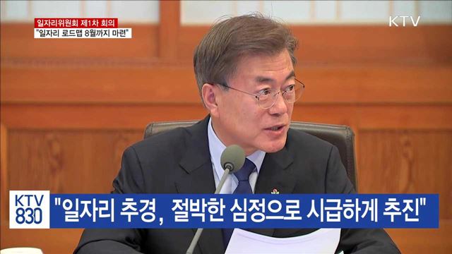 "일자리정책 로드맵 8월까지 마련해 달라"