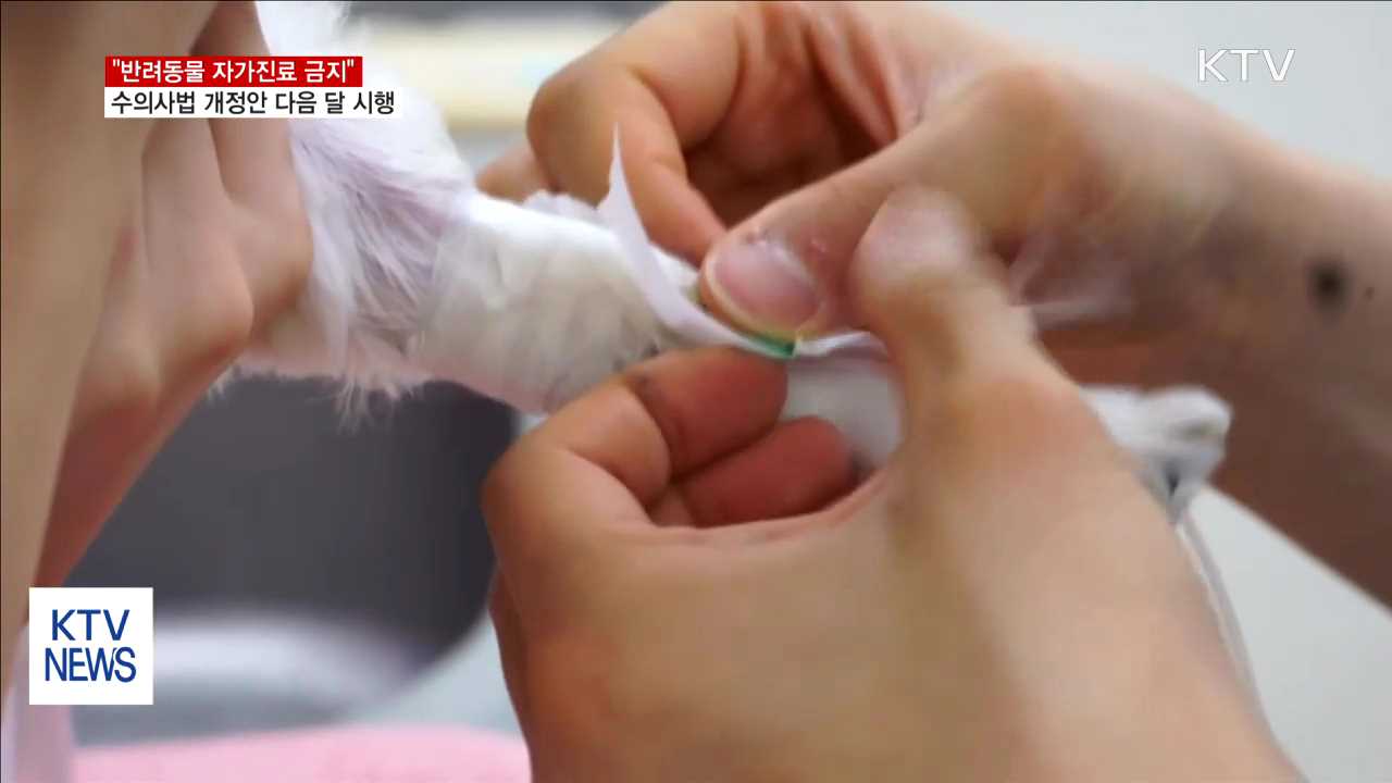 "강아지공장서 불법 진료·수술 못한다"