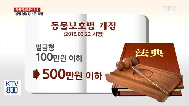 동물장묘업체 점검…불법 영업장 7곳 적발