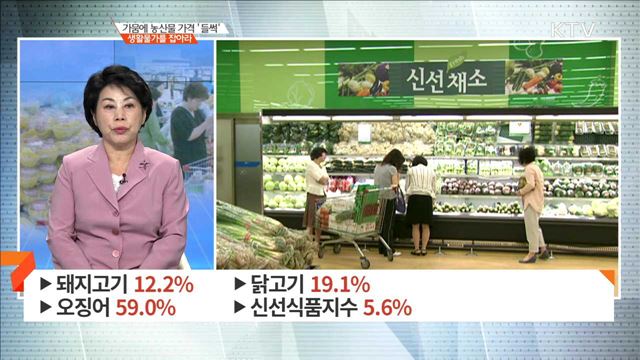가뭄에 농산물 가격 '들썩' 생활물가를 잡아라 [경제 인사이드]