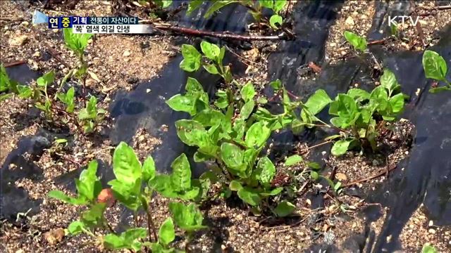 전통 '쪽' 염색 외길 인생…최옥자 명장