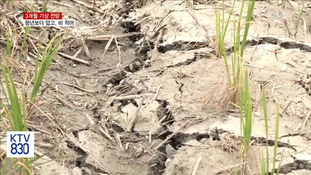 "올여름 평년보다 덥고 강수량 지역 차 크다"