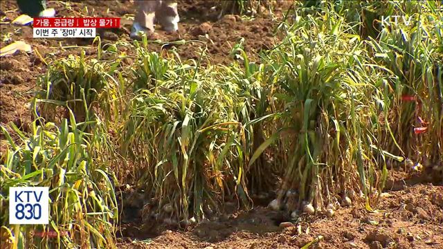 가뭄으로 공급량↓ 밥상 물가↑…이번 주 '장마'