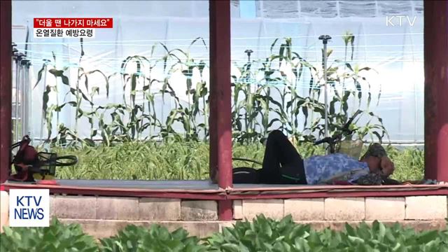 "더울 땐 나가지 마세요"…온열질환 예방법은?