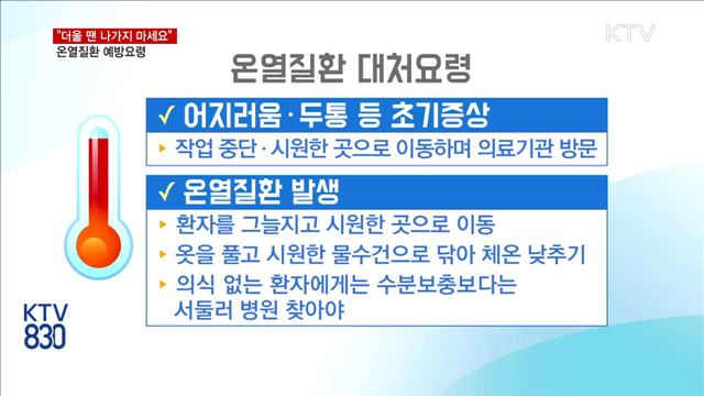 "더울 땐 나가지 마세요"…온열질환 예방법은?