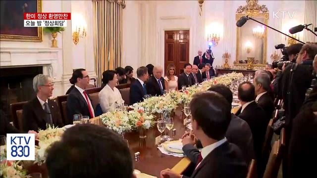 한미 정상 환영만찬…오늘 밤 정상회담
