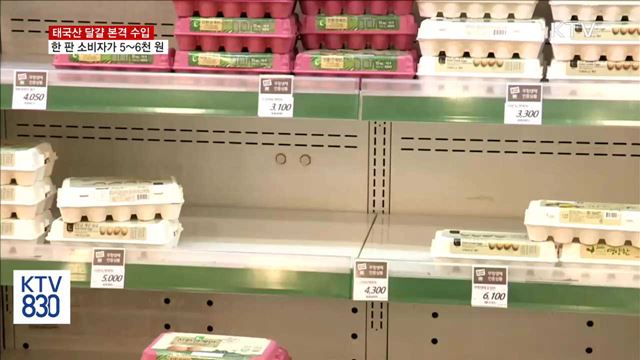 태국산 달걀 수입…한 판 소비자가격 5~6천 원 예상
