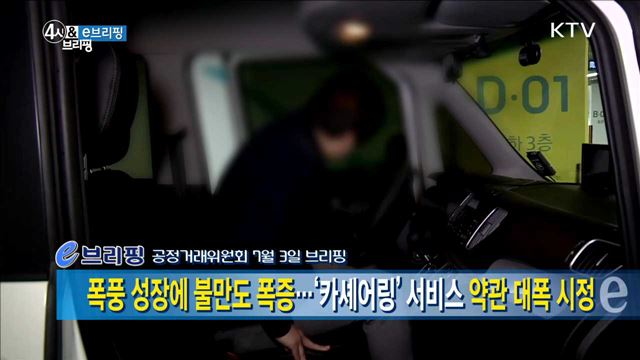 폭풍 성장에 불만도 폭증···'카셰어링' 서비스 약관 대폭 시정 [e브리핑]