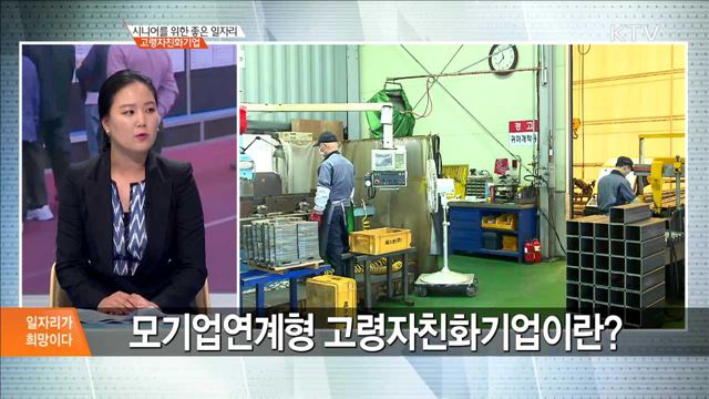 시니어를 위한 좋은 일자리 고령자친화기업 [일자리가 희망이다]