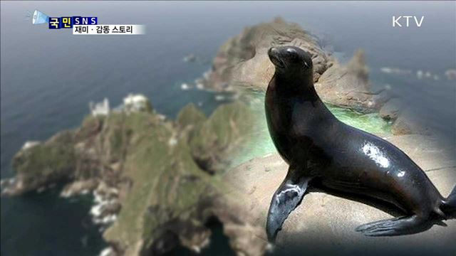 '강치를 기억해' 대학생 프로젝트 호응