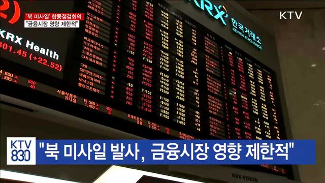 "금융시장 영향 제한적…실시간 모니터링"