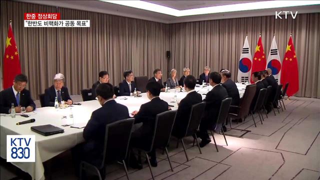 한중 정상회담…"한반도 비핵화가 공동 목표"
