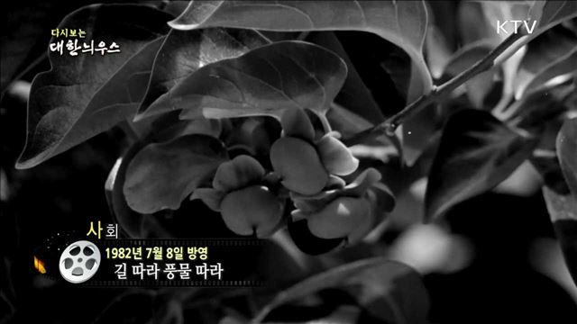 다시보는 대한늬우스 (82.07.08)