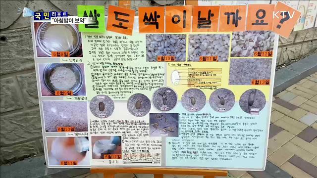 "아침밥이 보약"…초등학교 아침밥 먹기 운동