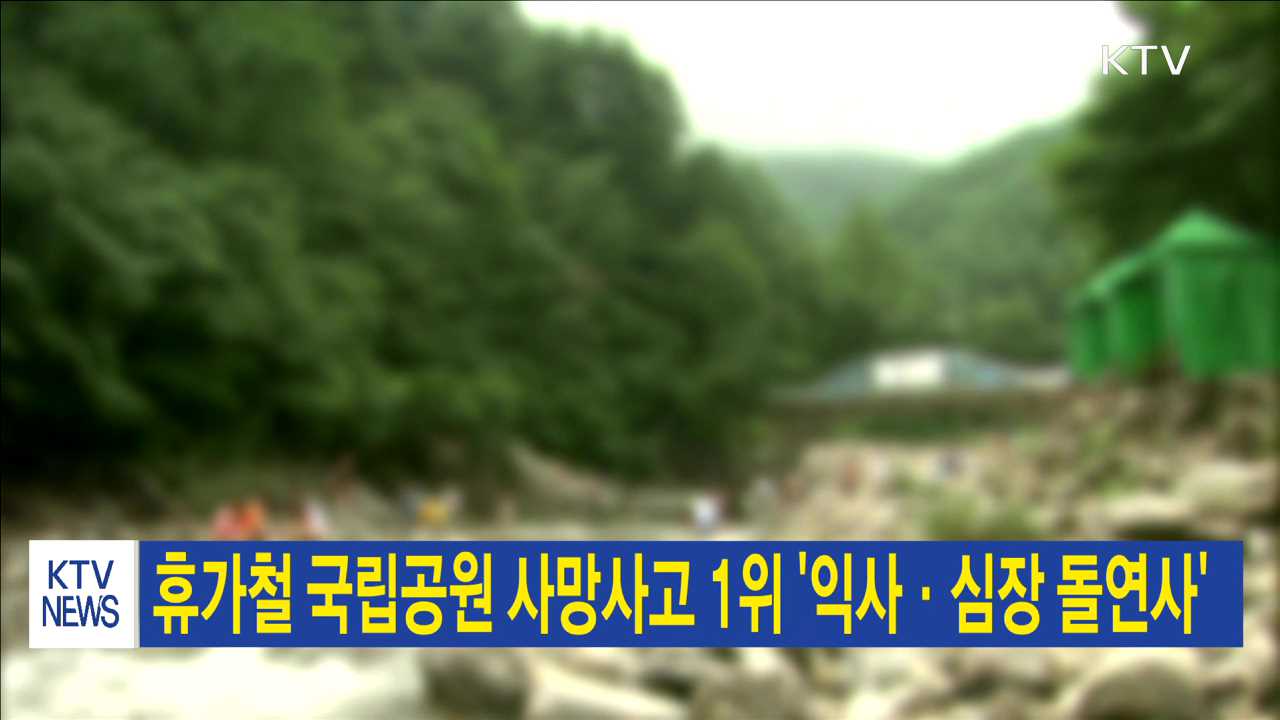 휴가철 국립공원 사망사고 1위 '익사·심장 돌연사'