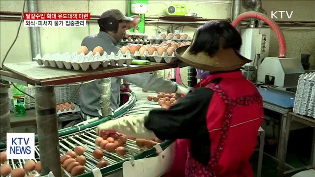 장바구니 물가 집중관리…달걀수입 확대 유도