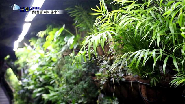 '광명동굴' 피서 즐겨요