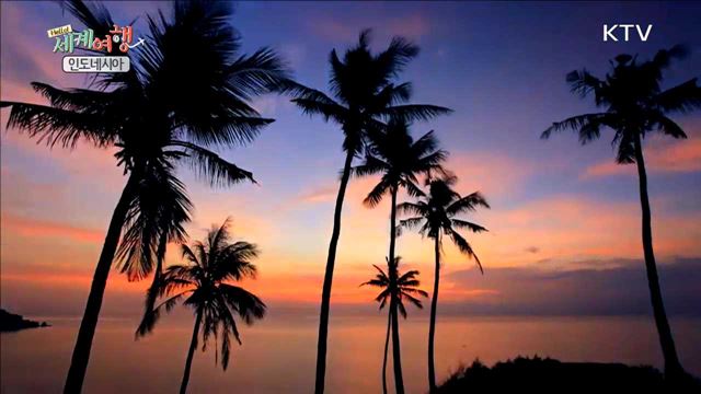 세계에서 가장 섬이 많은 나라, 인도네시아