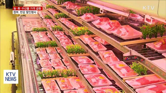 농·축·수산물 가격 급등…정부 반값 할인행사