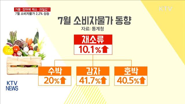 가뭄·장마에 채소·과일값↑…소비자물가 2.2% 상승