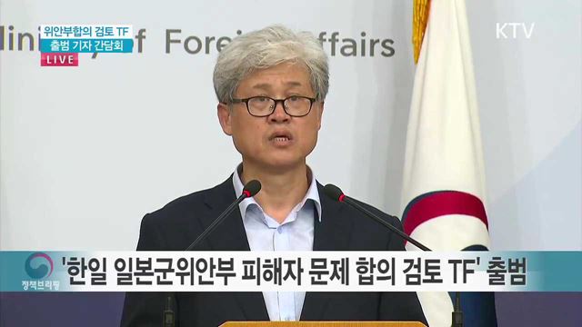 위안부 합의 검토 TF 출범 기자 간담회