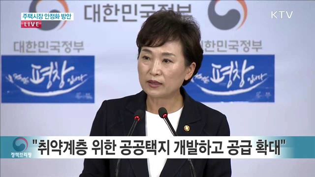 주택시장 안정화 방안