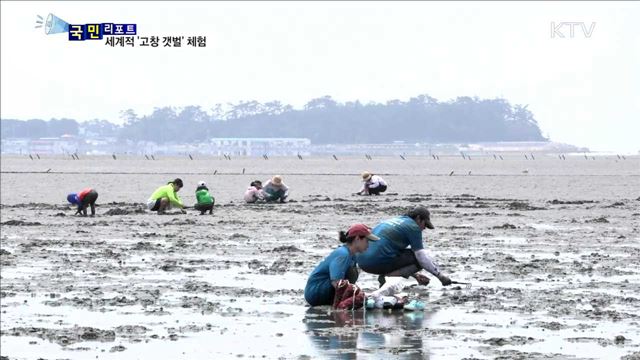 생명이 살아 숨 쉬는 '고창 갯벌' 체험