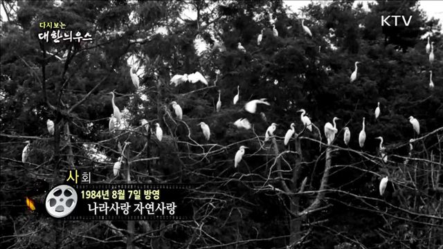 다시보는 대한늬우스 (84.08.07)