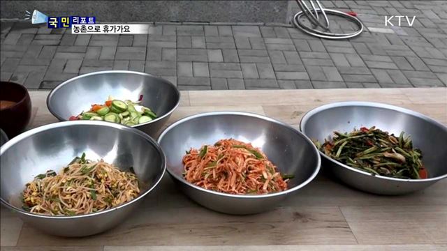 넉넉한 인심…여름휴가는 농촌마을로 가요