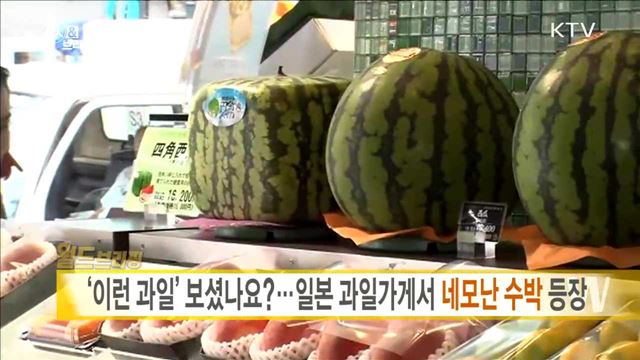 '이런 과일' 보셨나요?···일본 과일가게서 네모난 수박 등장 [월드 브리핑]