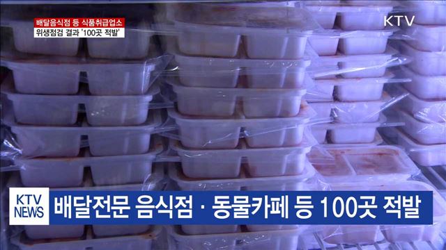 배달음식점 등 식품취급업소 위생점검…'100곳 적발'