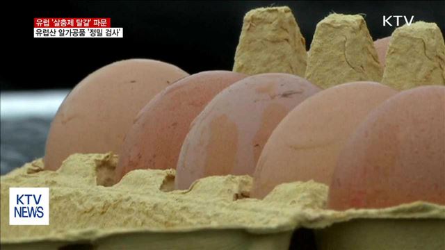 유럽 '살충제 달걀' 파문…유럽산 알가공품 '정밀 검사'