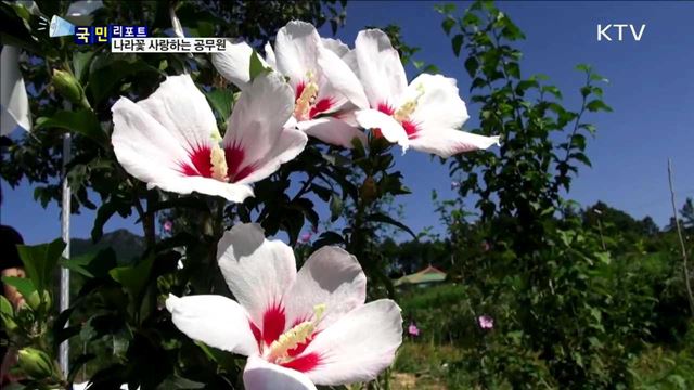 내일은 광복절…무궁화에 빠진 공무원