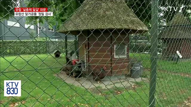 유럽 '살충제 달걀' 파문…유럽산 알가공품 '정밀 검사'