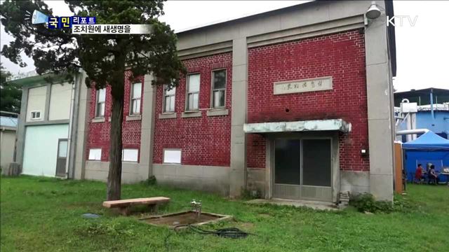 "옛 도심에 생명 불어넣다"…청춘 조치원 프로젝트