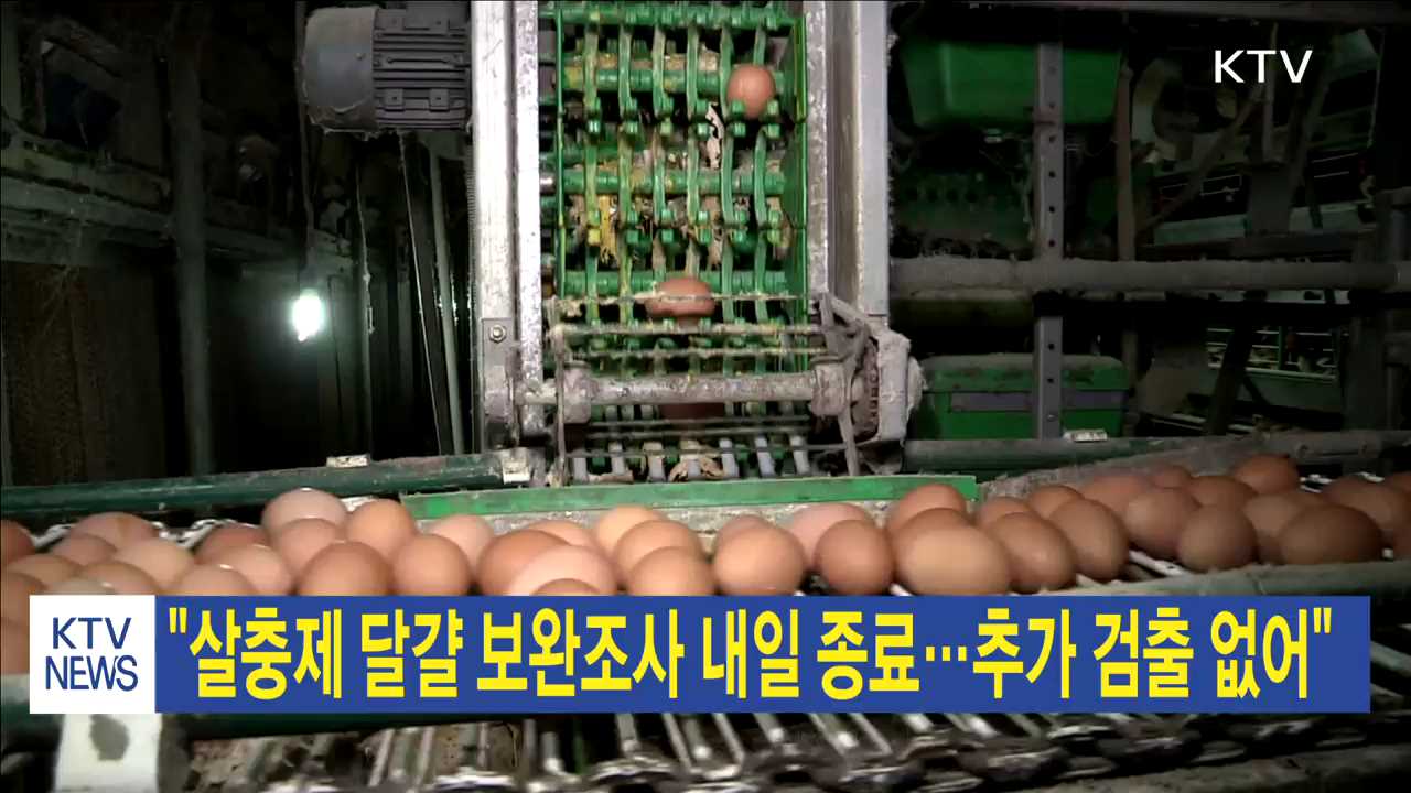 "살충제 달걀 보완조사 내일 종료…추가 검출 없어"