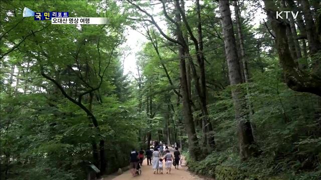 전나무 숲 걸여요…산사로 떠나는 명상 여행