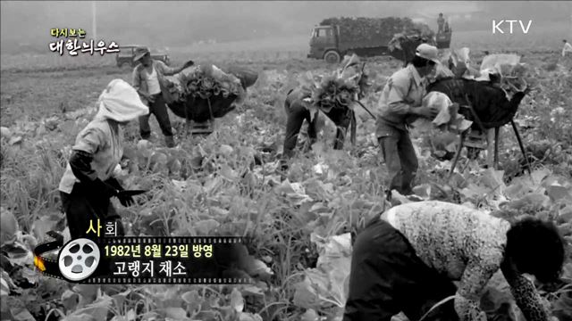 다시보는 대한늬우스 (82.08.23)