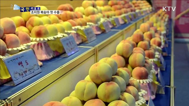 110년 전통 조치원 복숭아, 홍콩 첫 수출