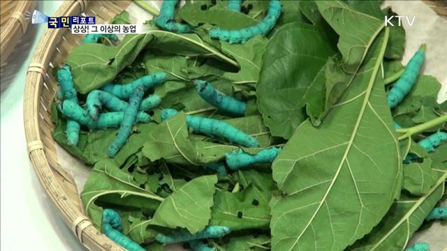 4차 산업 시대…'상상! 그 이상의 농업'