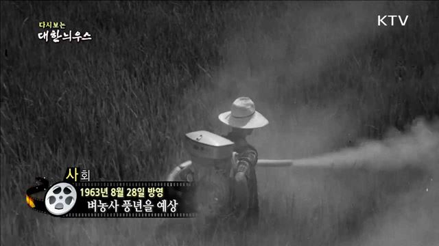 다시보는 대한늬우스 (63.08.28)