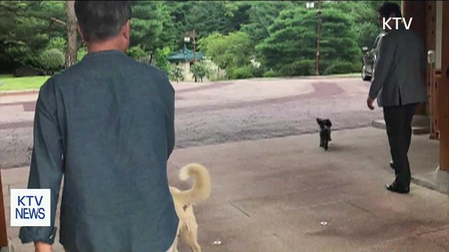 문 대통령, SNS에 반려견과의 일상 공개